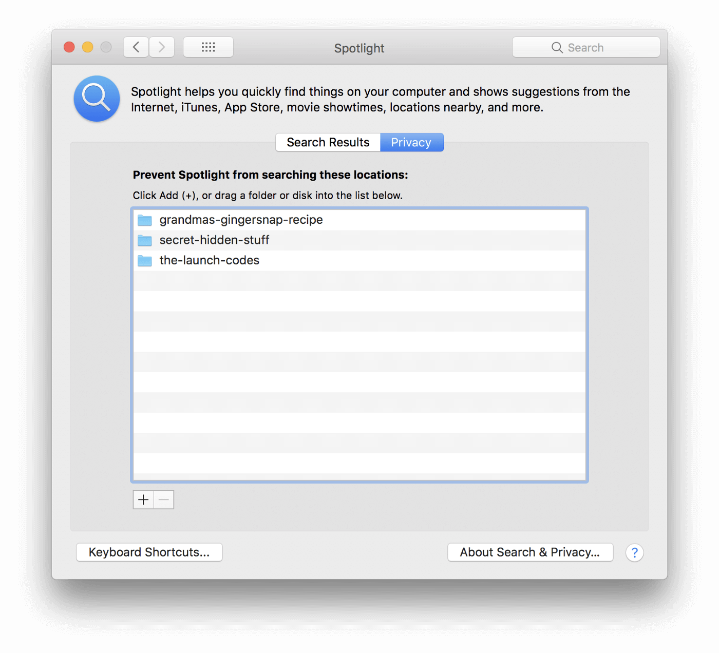spotlight privacy settings